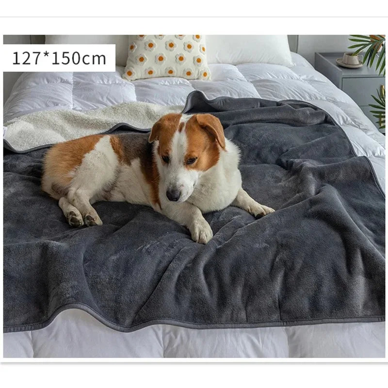 Waterproof Cat & Dog Blanket - Premium Slate Puppy & Pet Blanket 5