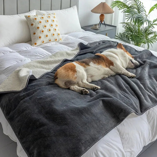 Waterproof Cat & Dog Blanket - Premium Slate Puppy & Pet Blanket 1