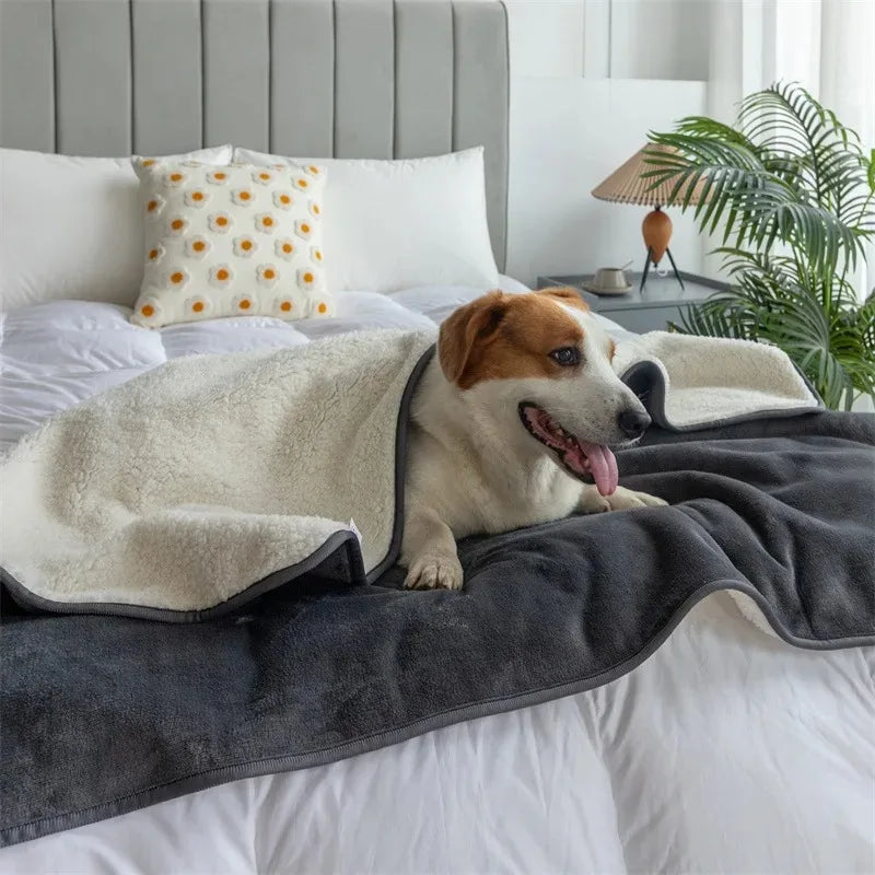 Waterproof Cat & Dog Blanket - Premium Slate Puppy & Pet Blanket 3